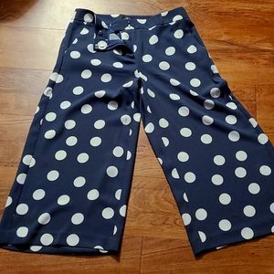 Loft wide leg copped pant in size 6